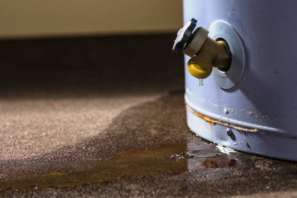 Best Water damage restoration experts  in Gulf Breeze, FL