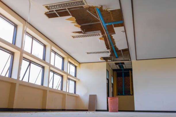  Gulf Breeze, FL Water damage restoration Pros