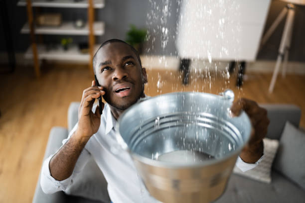 Best Sewage cleanup and water damage restoration  in Gulf Breeze, FL
