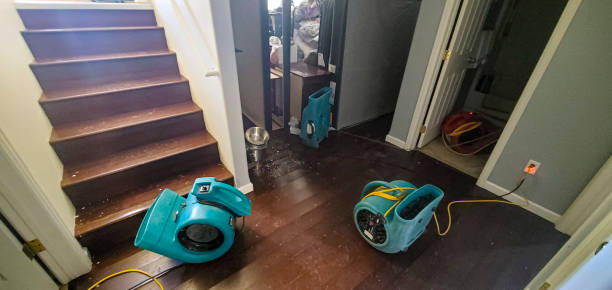 Water damage restoration experts in FL