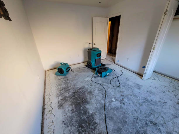Best Residential water damage restoration  in Gulf Breeze, FL