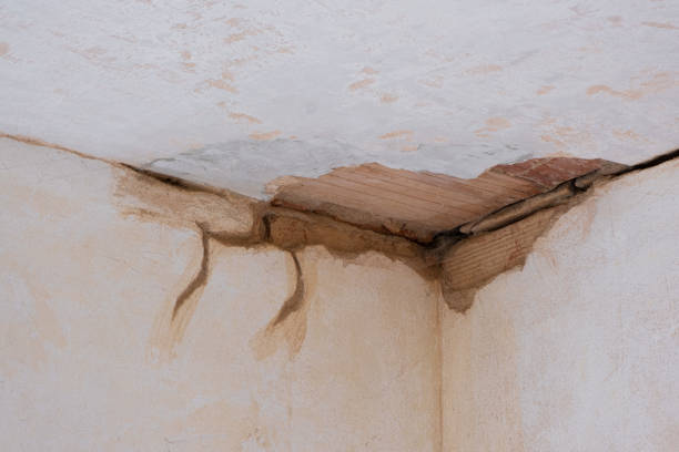 Best Water damage restoration near me  in Gulf Breeze, FL
