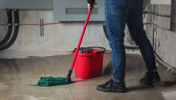 Best Emergency water damage restoration  in Gulf Breeze, FL