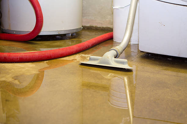 Best Carpet water damage restoration  in Gulf Breeze, FL