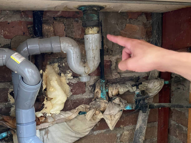 Reliable FL Water damage restoration Solutions