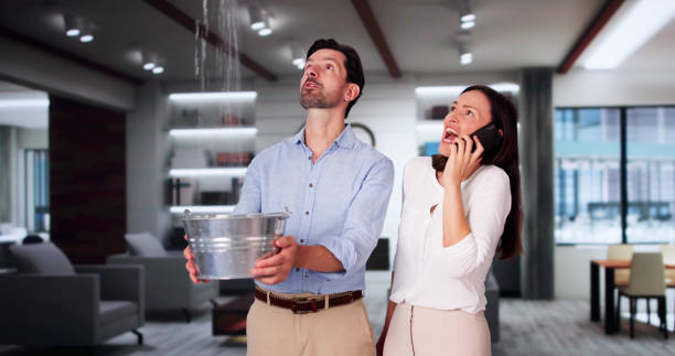 Best Carpet water damage restoration  in Gulf Breeze, FL