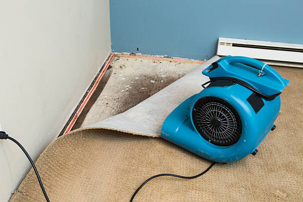 Best 24/7 water damage repair  in Gulf Breeze, FL