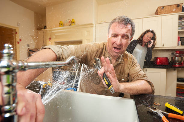 Best Professional water damage repair  in Gulf Breeze, FL